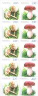 2013. Armenia, Mushrooms, Sheetlet, Mint/** - Arménie