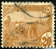 TUNISIA, FRENCH PROTECTORATE, AGRICOLTURA, 1906, FRANCOBOLLO USATO, Mi 35, Scott 38, YT 34 - Oblitérés