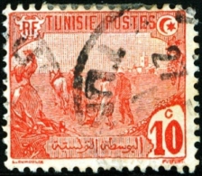 TUNISIA, FRENCH PROTECTORATE, AGRICOLTURA, 1906, FRANCOBOLLO USATO, Mi 33, Scott 34, YT 32 - Used Stamps