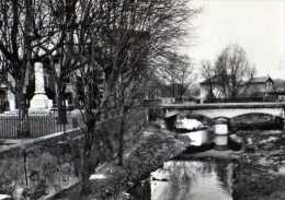 69  BRIGNAIS Le Pont Neuf - Brignais