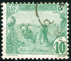 TUNISIA, FRENCH PROTECTORATE, AGRICOLTURA, 1921, FRANCOBOLLO USATO, Mi 73, Scott 35, YT 71 - Oblitérés