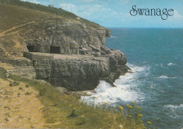 BT18002 Tilly Whim Cave Swange    2 Scans - Swanage