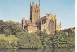 BT18011 Worcester Cathedral And River Servern  2 Scans - Autres & Non Classés