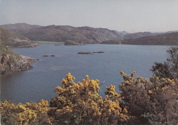 BT18249 Cuil Lochan  Sutherland    2 Scans - Sutherland