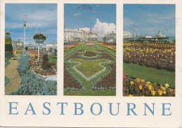 BT18314 Eastbourne The Sunshine Coast     2 Scans - Eastbourne