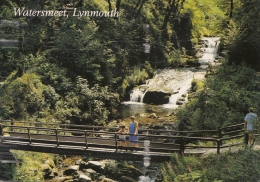 BT18317  The Falls Watersmeet Lynmouth   2 Scans - Lynmouth & Lynton