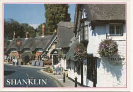 BT18318 Shanklin Old Village Isle Of Wight    2 Scans - Other & Unclassified