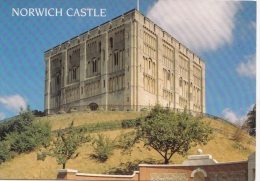 BT183222 Norwich Castle    2 Scans - Norwich
