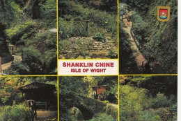 BT183223 Shanklin Chine Isle Of Wight    2 Scans - Autres & Non Classés