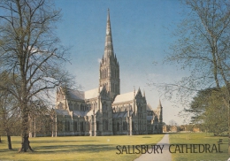 BT18353 Salisbury Cathedral     2 Scans - Salisbury