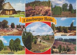 (DE964) LUNEBURGER HEIDE - Lüneburger Heide