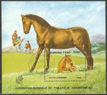 Burkina Faso 1985 Mi# Block 118 Used - Horses / Equestrians / Foal - Burkina Faso (1984-...)