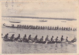 AFRIQUE,AFRICA,CAMEROUN,CAMEROON,1949,COURSE,EFFOR T,GRANDE PYROGUE,RAMEUR - Camerún