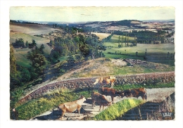 Cp, 48, Au Confins Du Cantal Et De La Lozère Sur La Route De Saint-Flour à Mende - Other & Unclassified