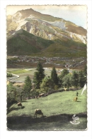 Cp, 64, Laruns, ( Vallée D'Ossau), Vue Générale - Laruns