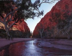 (700) Australia - NT - Simpson's Gap - Alice Springs