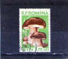 1958 - Champignons  Mi 1729 Et Yv 1588 ( Avec Ligne Filigram ) Très Rare 1/10 - Abarten Und Kuriositäten