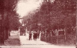 60 - Montataire - L ' Avenue Du Chateau - - Montataire