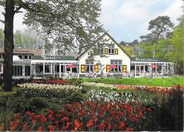 Pays-Bas > Gelderland > NUNSPEET Hotel DENNENHOEVE ***Elspeterwg 14 (Multi Vues) *PRIX FIXE - Nunspeet