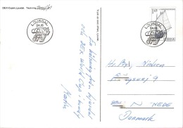 SWEDEN   #  POSTCARD FROM YEAR 1981 - Postal Stationery