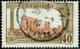 TUNISIA, FRENCH PROTECTORATE, ACQUEDOTTO ADRIANO, 1906, FRANCOBOLLO USATO, Mi 39, Scott 44, YT 38 - Oblitérés