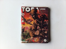 TORA N° 166 - Formatos Pequeños