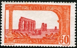 TUNISIA, FRENCH PROTECTORATE, ACQUEDOTTO ROMANO, 1925, FRANCOBOLLO NUOVO (MLH*), Mi 81, Scott 49, Yt 105 - Neufs