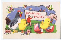 1930s EMBOSSED  POSTCARD - COLORED EGG & CHICKS & BIRDS AND FLOWERS - ...-1850 Prefilatelia