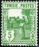 TUNISIA, FRENCH PROTECTORATE, USI E COSTUMI, 1926, FRANCOBOLLO NUOVO (MLH*), Mi 123, Scott 77, Yt 123 - Nuovi