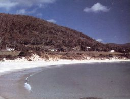 (900) Australia - TAS - Bicheno Safety Beach - Other & Unclassified