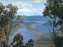 (900) Australia - TAS - New Lake Pedder - Wilderness