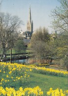 BT18384 Norwich Cathedral    2 Scans - Norwich