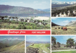 BT18434 Fort William   2 Scans - Inverness-shire