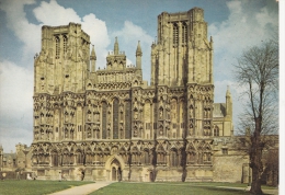 BT18520 Wells Cathedral   2 Scans - Wells