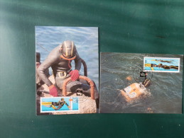 38/547   2      MAXI   CARTE  DDR - Buceo