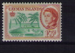 CAYMAN ISLANDS - Swiming Pool - Kaimaninseln