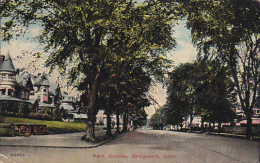 Park Avenue Bridgeport Connecticut 1912 - Bridgeport