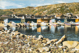 QQ 116 / C P S M  ST PIERRE ET MIQUELON  -UNE ANSE DE PECHE - Saint-Pierre En Miquelon