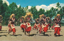 AFRICA,RUANDA, URUNDI,WATUTSI DANCERS,old Photo Postcard - Unclassified