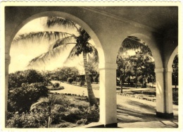 Sacred Hearts Academy
Kaimuki, Honolulu, T. H.
Playgrounds - Honolulu