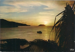 Antilles Radieuses  -  The Enchanting Caribbean  Tropical Sunset - Coucher De Soleil   A-3312 - Otros & Sin Clasificación