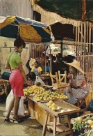 Antilles Radieuses  -  The Enchanting Caribbean  Fruit Seller - Marchande De Fruits  A-3314 - Andere & Zonder Classificatie