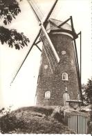 Oelegem Ranst Molen Moulin - Ranst