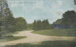 Ohio Toledo Driveway In Dttawa Park 1916 - Toledo