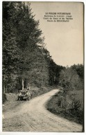T / 61 - Environs De Longny : Forêt De Réno Et Du Valdieu - Route De Brochard - Longny Au Perche