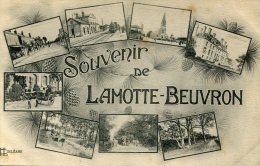CPA 41 SOUVENIR DE LAMOTTE BEUVRON - Lamotte Beuvron