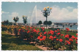 CP, SUISSE - GENEVE, Les Roses Du Quai De Cologny Et Le Jet D'Eau (120 M), Voyagé En 1964 - Cologny