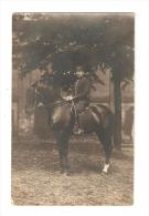 Carte Photo : Militaire à Cheval Dans Un Parc ( ? ) Sous Des Arbres - Uniformes