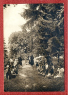 CPA  - 38 - Isère : Diémoz : En Promenade Dans Le Parc : Groupe De Femmes Sur Un Chemin Sous Des Arbres  - Peu Commune - Diémoz