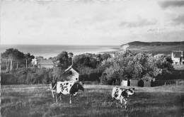 Quiberville    76      Panorama   Année 1953 - Andere & Zonder Classificatie